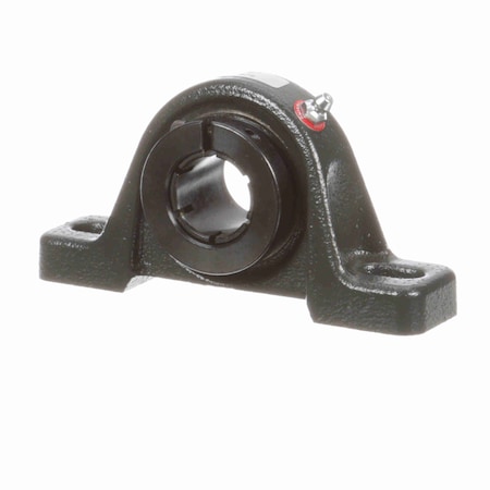 Browning Mounted Cast Iron Two Bolt Pillow Block Ball Bearing, 52100